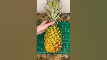 POV: You cut open the wrong pineapple #spongebob #house #jumpscare