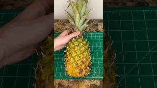 Pov: You Cut Open The Wrong Pineapple #Spongebob #House #Jumpscare