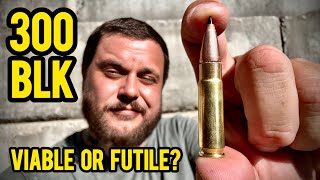 IS 300 BLACKOUT STILL WORTHY? @CMMG @SilencerCo  #300blackout #300blk #suppressor #silencer 