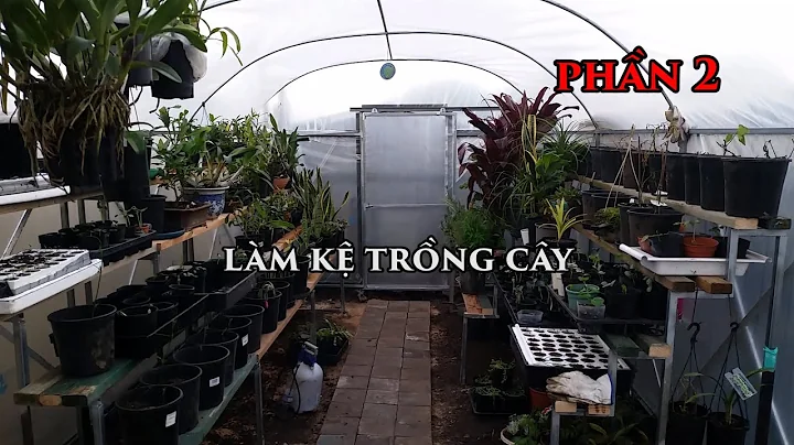 Làm Kệ Trồng Cây Trong Nhà Kính Phần 2