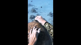 Britt Acting Real Sussy While Im Saving A Turtle