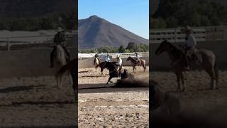 Caladero Prefuturity de la Amistad ✨