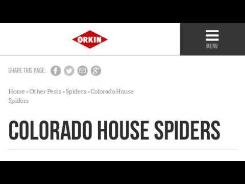 camera iphone 8 plus apk Types Of Spiders In The U.S.