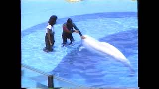 SeaWorld Orlando Whale & Dolphin Show 1991 - Retro Video