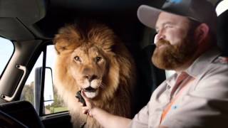 Food Lion   On The Road HD