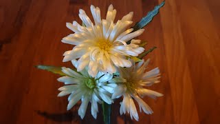 Carved white gerbera from Leek #whitegerbera #แกะสลัก #ดอกเยอบีร่า #carving #雕刻蔬菜