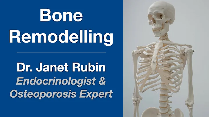 Bone Remodelling and Osteoporosis: Endocrinologist...