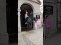 Kings horse may bite but parents are laughing thebluesandroyals