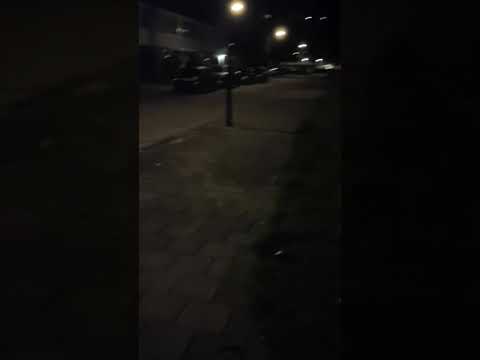 walking my dog at night in Veenendaal,  The Netherlands ????