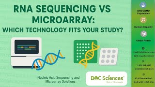 RNA Sequencing vs Microarray Which Technology Fits Your Nucleic Acids Study — BOC Sciences