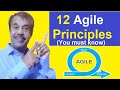 agile principles explained | software engineering | guide | interview questions | testing shala