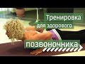 Здоровый позвоночник: упражнения для гибкости / Вправи для хребта