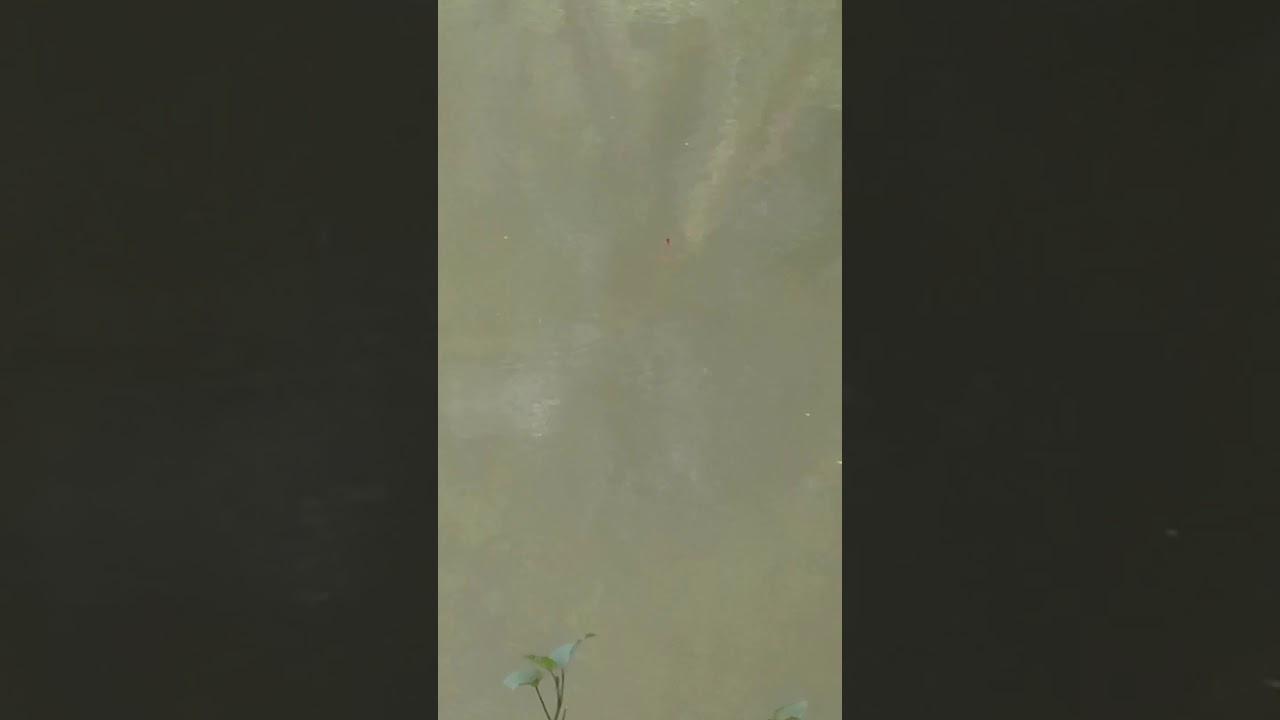 Undlupnya menggoda iman