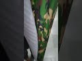 Video Image