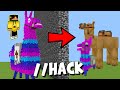 HO IMBROGLIATO con //HACK NELLA GARA DI COSTRUZIONE DI MINECRAFT