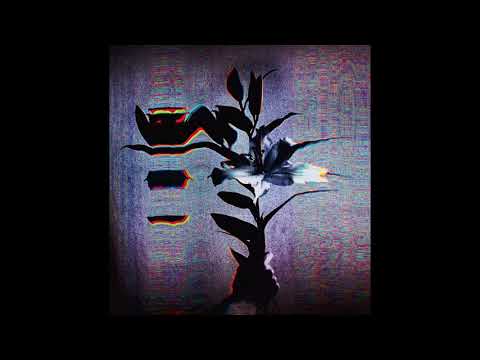 Daniel Miller — Populist - Temple [Ttatld001]