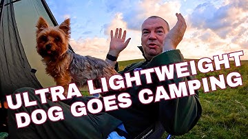 Ultra Light Dog  Dartmoor wild camp MLD Duomid XL Part 1