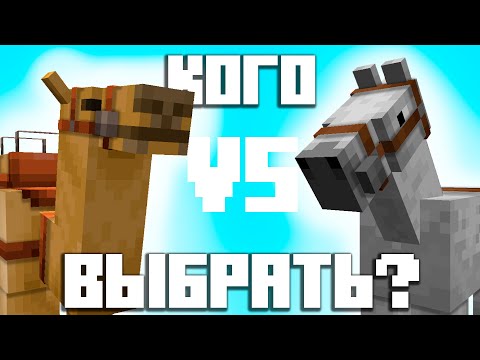 Кто Лучше, Конь Или Верблюд?!