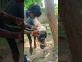 bhaish banegi dulhiniya #trending #comedy #funny #viralvideo #shorts