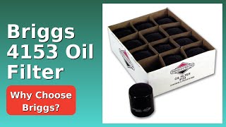 REVIEW (2026): Briggs 4153 Oil Filter. ESSENTIAL details.