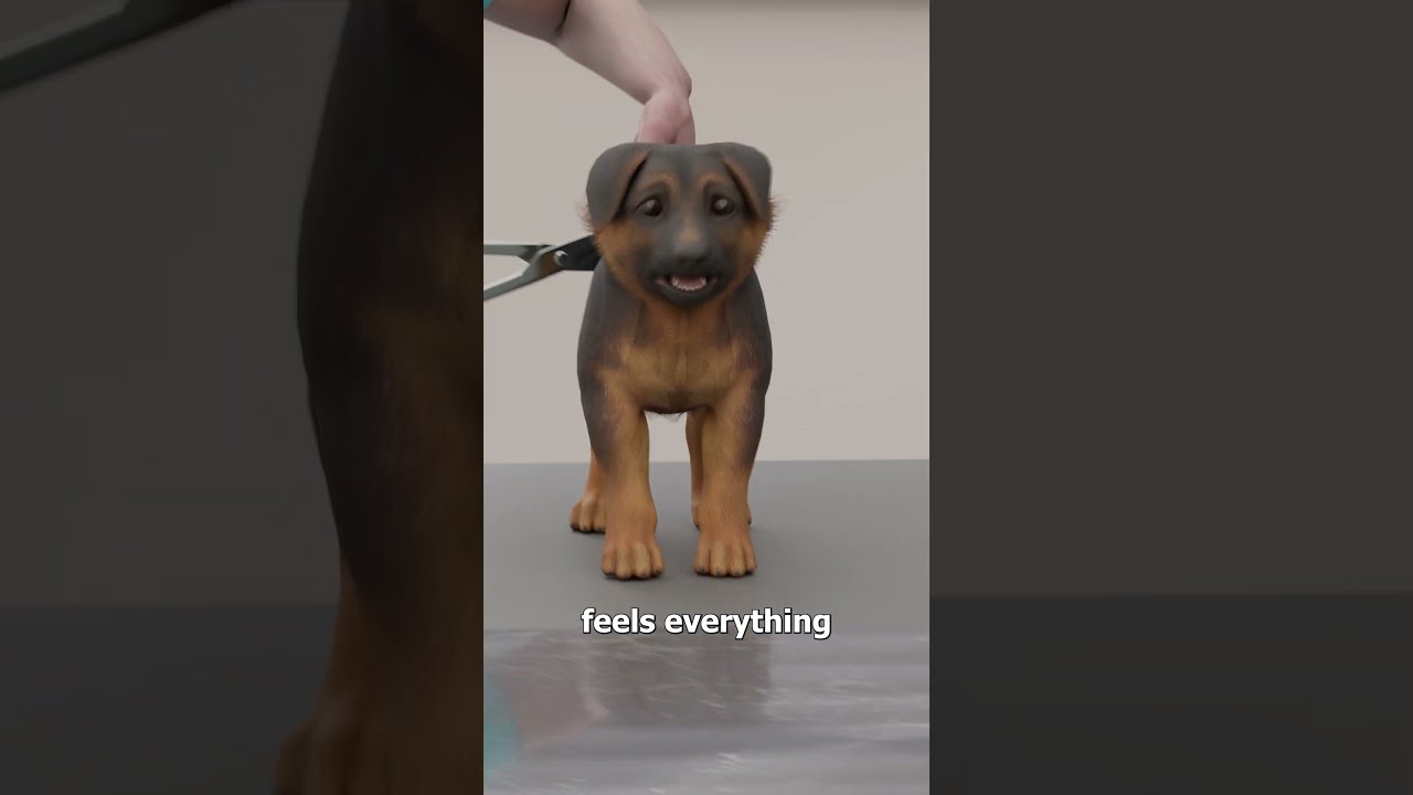 Dog Breeds With Tail Docking 