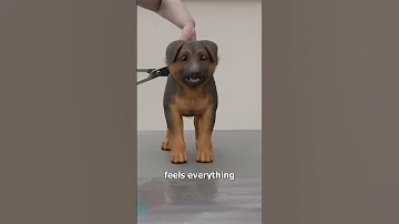 Dog Breeds With Tail Docking 