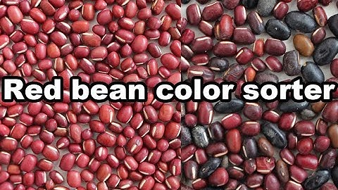 Bean color sorter - Red kidney bean color sorter