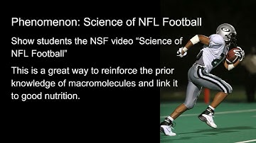 From Molecules to Organisms  Structures and Processes - Flow of Matter & energy in Life Q2