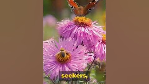 Bloom Your Passion: Discover Your True Self in 60 Seconds | Motivate Me101