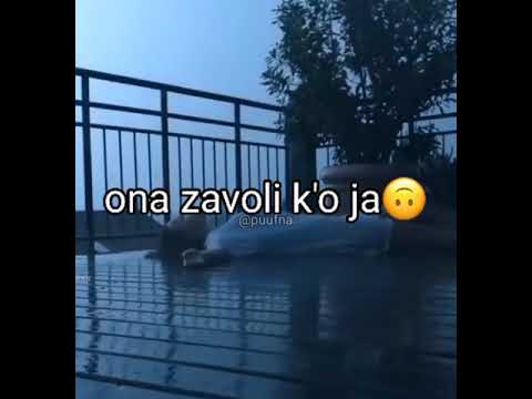 Djogani - Zenske