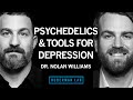 Dr nolan williams psychedelics  neurostimulation for brain rewiring  huberman lab podcast 93