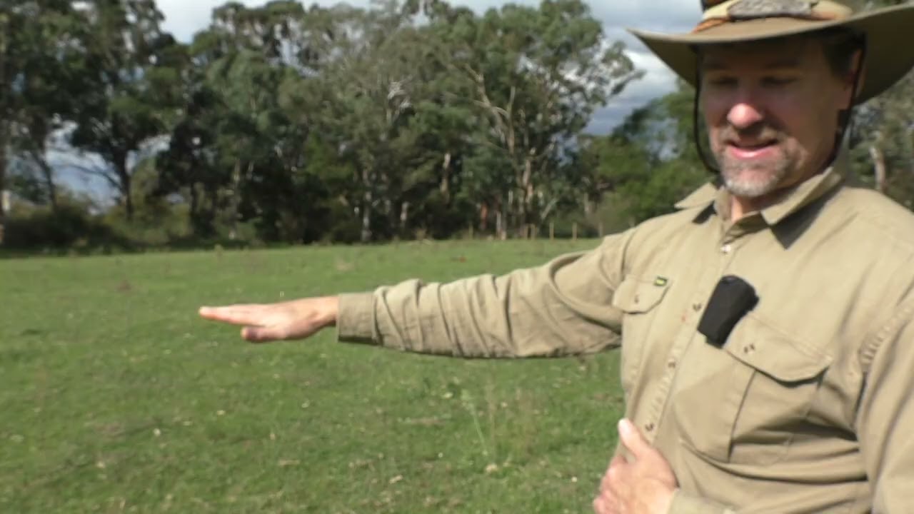 How to find your Boomerang Sweet spot