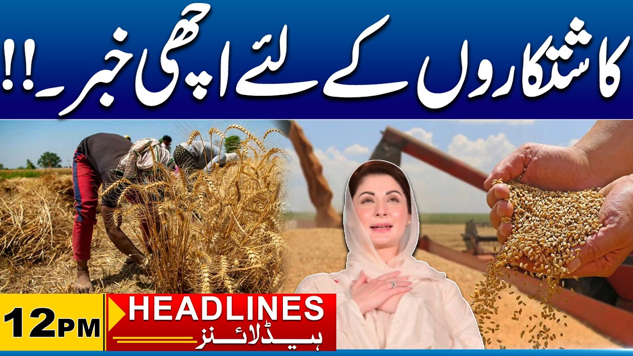 Great News for Farmers | Government’s New Decision | 12 PM News Headlines | 11 Mar 2026 | City 41
