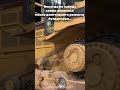 И не такое услышишь😅😅 #бульдозер #caterpillar