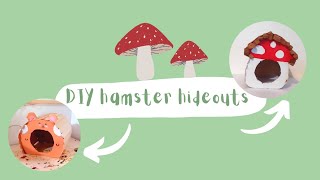 DIY Hamster Hideouts!