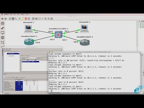 GNS3 Talks: Ostinato Packet Generator - Craft packets to hack network devices (Ostinato Part 5)