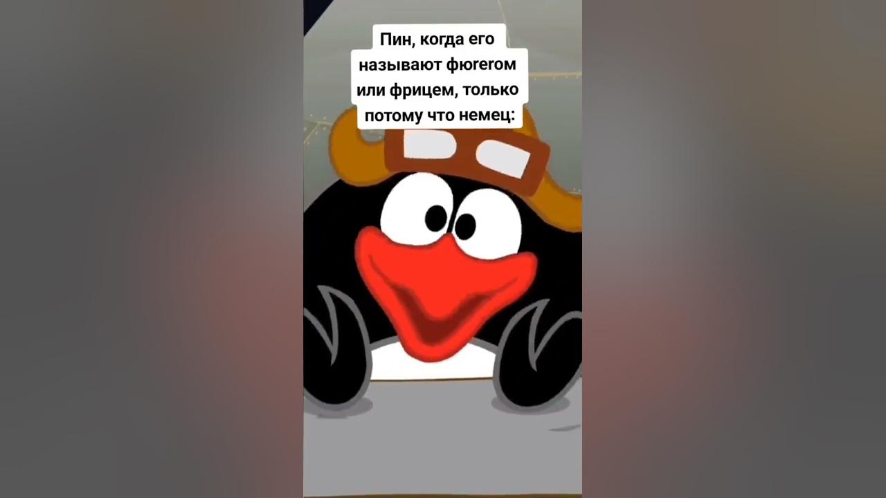пина унизили потомучто он немец смешарики переозвучка - YouTube