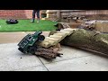 FTX Outback 3.0 Back Garden Fun