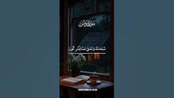 راحة نفسية❤️✨حالات واتس اب قران/مقاطع دينية قصيرة آيات قرانية/ستوريات انستا#قرآن_كريم
