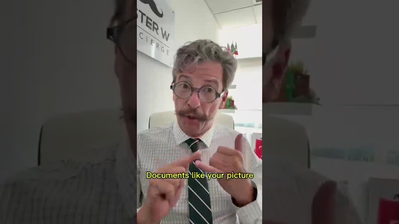 How to Get a Brazilian e Visa Requirements for U S , Canadian, and Australian Travelers