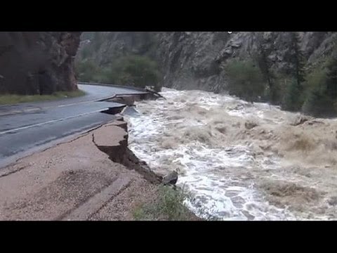 Видео: Кошка не использует ящик для мусора? Эти советы могут очистить воздух