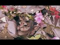 coochieeeeeee - FORBIDDEN (Official Audio)