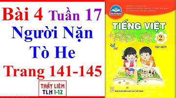 Tiếng Việt Lớp 2 Bài 4 Tuần 17 | Người Nặn Tò He | Trang 141 - 145 | Chân Trời Sáng Tạo