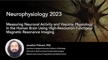 Measuring Neuronal Activity and Vascular Physiology in the Human Brain Using High-Resolution fMRI
