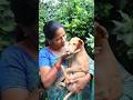 #shorts #shortvideo #dog #dogshorts #puppylove #puppylife #pets #petlover