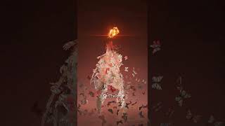 Deleted Scene From Malenia & Radahn Fight