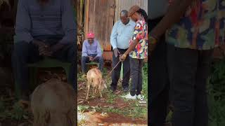 Ndurume Ya Kuhata Miruru