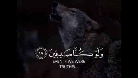 و تركنا يوسف عند متاعنا فأكله الذئب و ما أنت بمؤمنٍ لنا و لو كنا صادقين (١٧) سورة يوسف