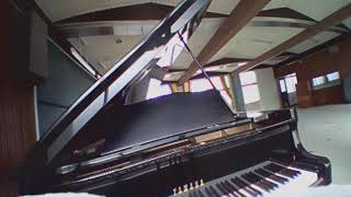 Piano Misuka Elementary School (TinyWhoop)