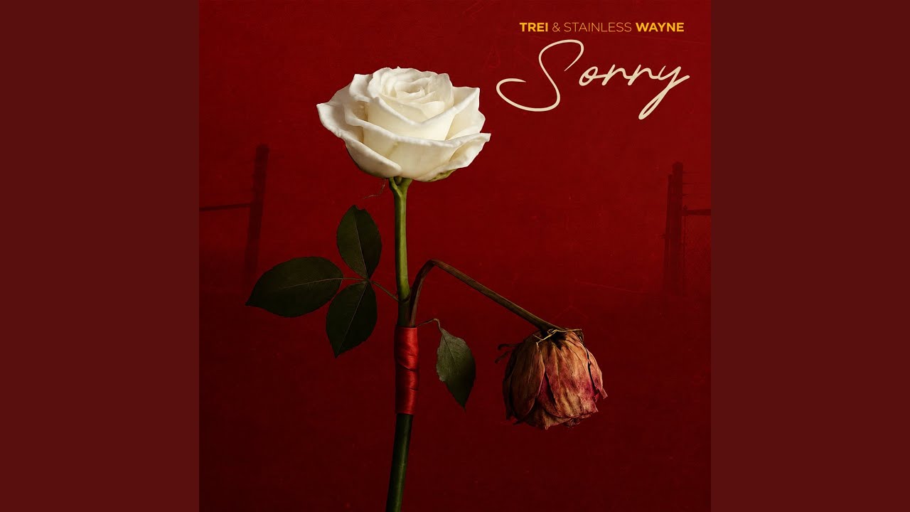 Watch Sorry on YouTube Watch Sorry on YouTube